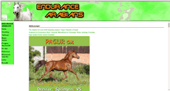 Desktop Screenshot of endurance-arabians.com