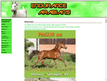 Tablet Screenshot of endurance-arabians.com